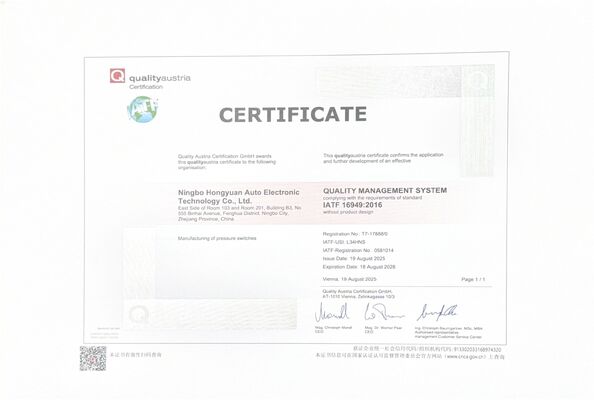 Gute Qualität Rückwärtslichtschalter en ventes